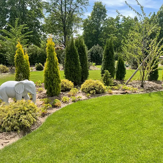 Gepflegte Gartenanlage mit frisch gepflanzten Büschen, Koniferen und Rasenflächen, dekoriert mit einer Elefantenfigur.